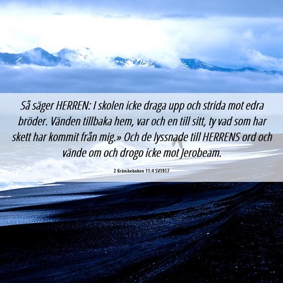 Picture 06 - 2 Krönikeboken 11:4 SV1917 - Så säger HERREN: I skolen icke draga upp och - Bible Verse Picture