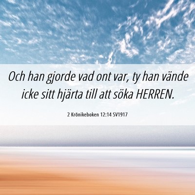 Picture 06 - 2 Krönikeboken 12:14 SV1917 - Och han gjorde vad ont var, ty han vände icke - Bible Verse Picture