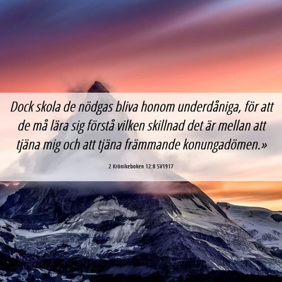 Picture 06 - 2 Krönikeboken 12:8 SV1917 - Dock skola de nödgas bliva honom underdåniga, - Bible Verse Picture