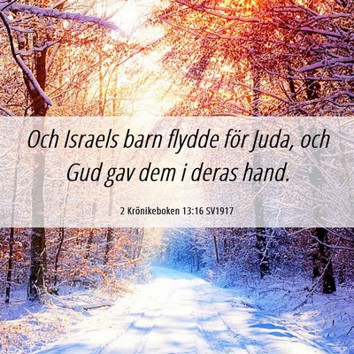 Picture 06 - 2 Krönikeboken 13:16 SV1917 - Och Israels barn flydde för Juda, och Gud gav - Bible Verse Picture