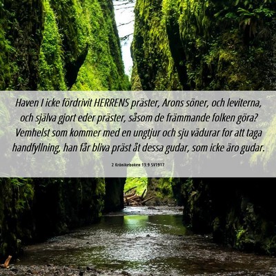 Picture 06 - 2 Krönikeboken 13:9 SV1917 - Haven I icke fördrivit HERRENS präster, Arons - Bible Verse Picture