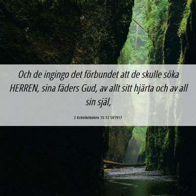 Picture 06 - 2 Krönikeboken 15:12 SV1917 - Och de ingingo det förbundet att de skulle söka - Bible Verse Picture
