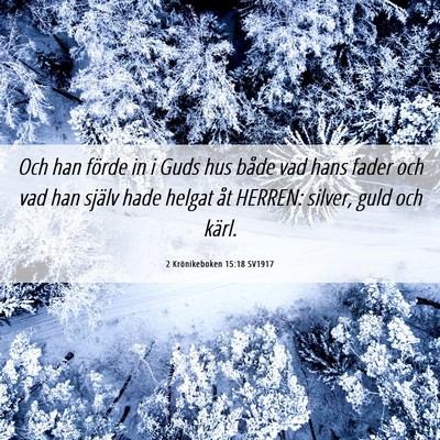 Picture 06 - 2 Krönikeboken 15:18 SV1917 - Och han förde in i Guds hus både vad hans fader - Bible Verse Picture