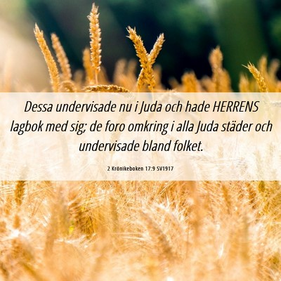 Picture 06 - 2 Krönikeboken 17:9 SV1917 - Dessa undervisade nu i Juda och hade HERRENS - Bible Verse Picture