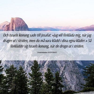 Picture 06 - 2 Krönikeboken 18:29 SV1917 - Och Israels konung sade till Josafat: »Jag vill - Bible Verse Picture