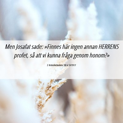 Picture 06 - 2 Krönikeboken 18:6 SV1917 - Men Josafat sade: »Finnes här ingen annan - Bible Verse Picture