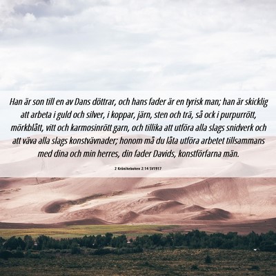 Picture 06 - 2 Krönikeboken 2:14 SV1917 - Han är son till en av Dans döttrar, och hans - Bible Verse Picture