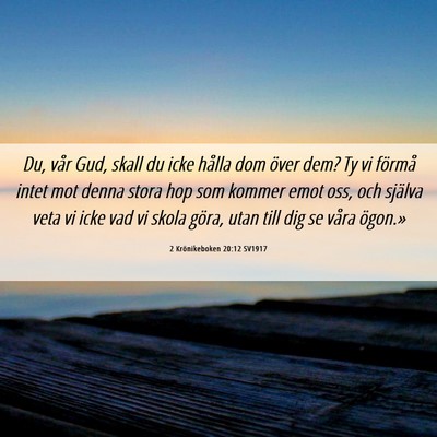 Picture 06 - 2 Krönikeboken 20:12 SV1917 - Du, vår Gud, skall du icke hålla dom över dem? - Bible Verse Picture