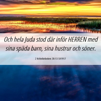 Picture 06 - 2 Krönikeboken 20:13 SV1917 - Och hela Juda stod där inför HERREN med sina - Bible Verse Picture