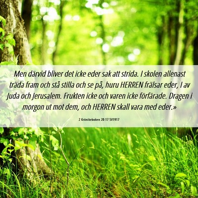 Picture 06 - 2 Krönikeboken 20:17 SV1917 - Men därvid bliver det icke eder sak att strida. - Bible Verse Picture