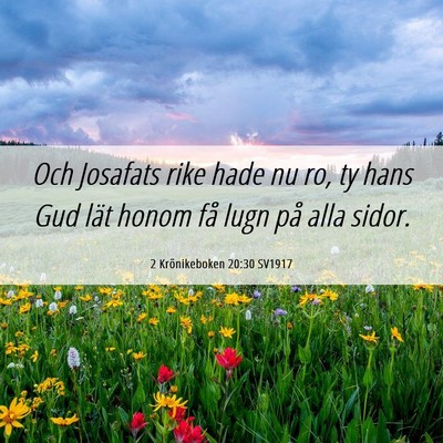 Picture 06 - 2 Krönikeboken 20:30 SV1917 - Och Josafats rike hade nu ro, ty hans Gud lät - Bible Verse Picture