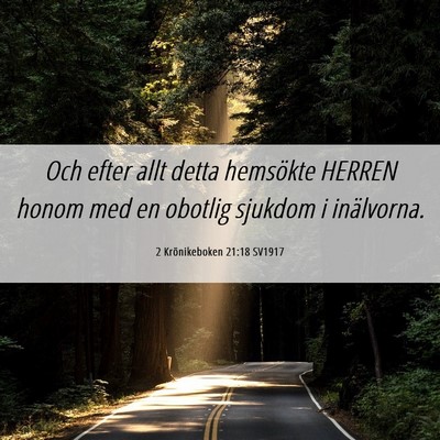 Picture 06 - 2 Krönikeboken 21:18 SV1917 - Och efter allt detta hemsökte HERREN honom med - Bible Verse Picture