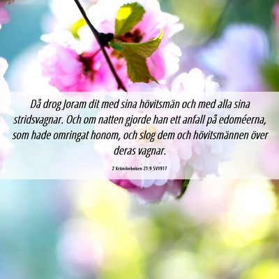 Picture 06 - 2 Krönikeboken 21:9 SV1917 - Då drog Joram dit med sina hövitsmän och med - Bible Verse Picture
