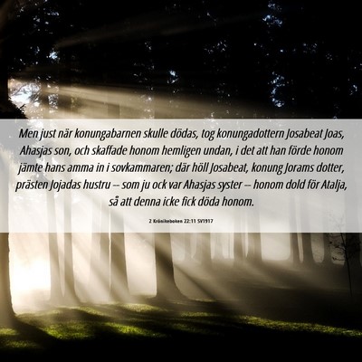 Picture 06 - 2 Krönikeboken 22:11 SV1917 - Men just när konungabarnen skulle dödas, tog - Bible Verse Picture