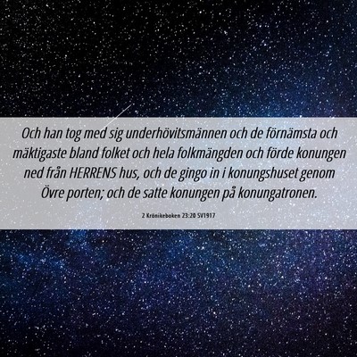 Picture 06 - 2 Krönikeboken 23:20 SV1917 - Och han tog med sig underhövitsmännen och de - Bible Verse Picture