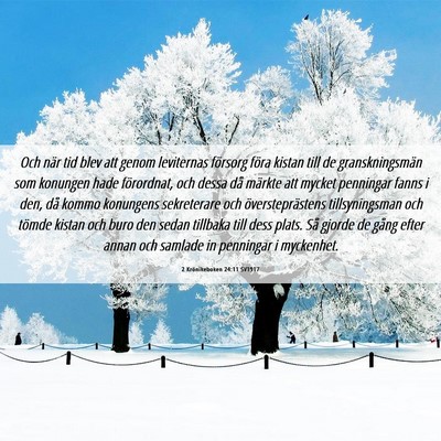 Picture 06 - 2 Krönikeboken 24:11 SV1917 - Och när tid blev att genom leviternas försorg - Bible Verse Picture