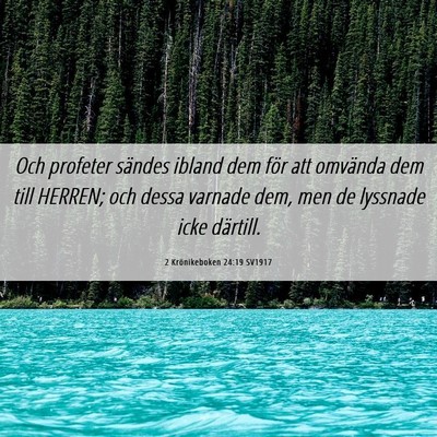 Picture 06 - 2 Krönikeboken 24:19 SV1917 - Och profeter sändes ibland dem för att omvända - Bible Verse Picture