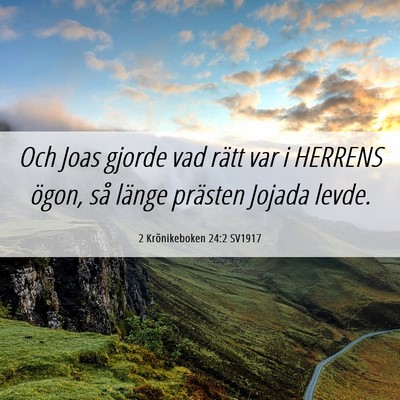 Picture 06 - 2 Krönikeboken 24:2 SV1917 - Och Joas gjorde vad rätt var i HERRENS ögon, - Bible Verse Picture