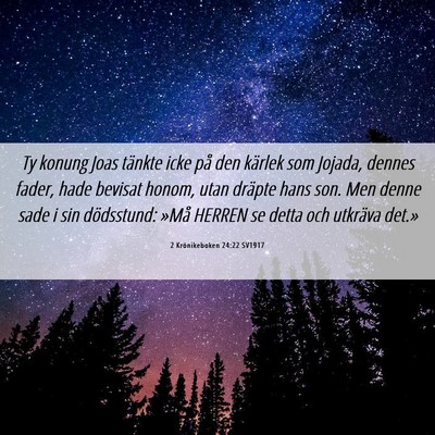Picture 06 - 2 Krönikeboken 24:22 SV1917 - Ty konung Joas tänkte icke på den kärlek som - Bible Verse Picture