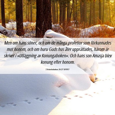 Picture 06 - 2 Krönikeboken 24:27 SV1917 - Men om hans söner, och om de många profetior - Bible Verse Picture