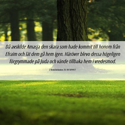 Picture 06 - 2 Krönikeboken 25:10 SV1917 - Då avskilde Amasja den skara som hade kommit - Bible Verse Picture