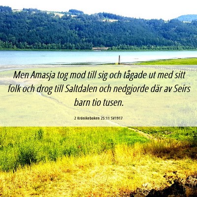 Picture 06 - 2 Krönikeboken 25:11 SV1917 - Men Amasja tog mod till sig och tågade ut med - Bible Verse Picture