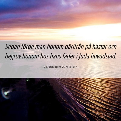 Picture 06 - 2 Krönikeboken 25:28 SV1917 - Sedan förde man honom därifrån på hästar och - Bible Verse Picture