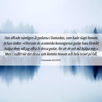 Picture 06 - 2 Krönikeboken 28:23 SV1917 - Han offrade nämligen åt gudarna i Damaskus, som - Bible Verse Picture
