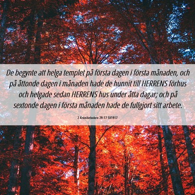 Picture 06 - 2 Krönikeboken 29:17 SV1917 - De begynte att helga templet på första dagen i - Bible Verse Picture