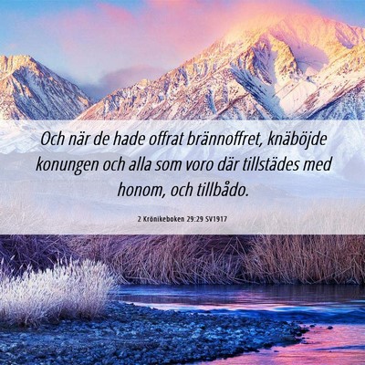 Picture 06 - 2 Krönikeboken 29:29 SV1917 - Och när de hade offrat brännoffret, knäböjde - Bible Verse Picture