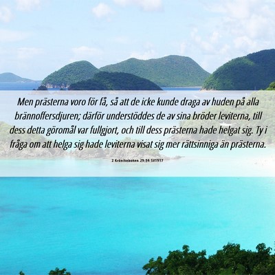 Picture 06 - 2 Krönikeboken 29:34 SV1917 - Men prästerna voro för få, så att de icke - Bible Verse Picture