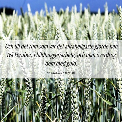 Picture 06 - 2 Krönikeboken 3:10 SV1917 - Och till det rum som var det allraheligaste - Bible Verse Picture