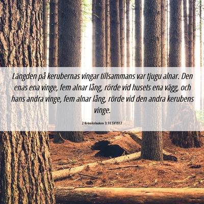 Picture 06 - 2 Krönikeboken 3:11 SV1917 - Längden på kerubernas vingar tillsammans var - Bible Verse Picture