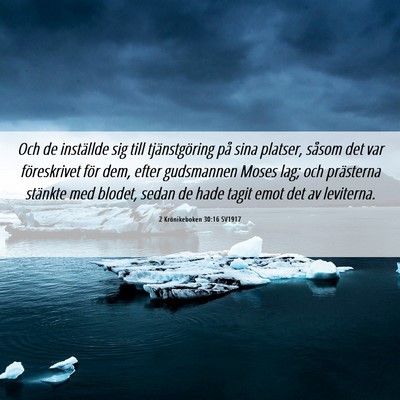 Picture 06 - 2 Krönikeboken 30:16 SV1917 - Och de inställde sig till tjänstgöring på - Bible Verse Picture