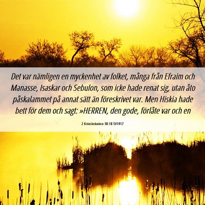Picture 06 - 2 Krönikeboken 30:18 SV1917 - Det var nämligen en myckenhet av folket, många - Bible Verse Picture