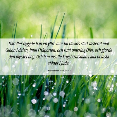 Picture 06 - 2 Krönikeboken 33:14 SV1917 - Därefter byggde han en yttre mur till Davids - Bible Verse Picture