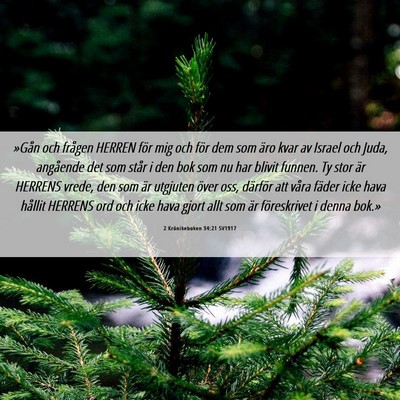 Picture 06 - 2 Krönikeboken 34:21 SV1917 - »Gån och frågen HERREN för mig och för dem - Bible Verse Picture