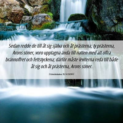 Picture 06 - 2 Krönikeboken 35:14 SV1917 - Sedan redde de till åt sig själva och åt - Bible Verse Picture