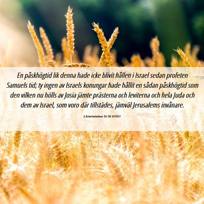 Picture 06 - 2 Krönikeboken 35:18 SV1917 - En påskhögtid lik denna hade icke blivit - Bible Verse Picture