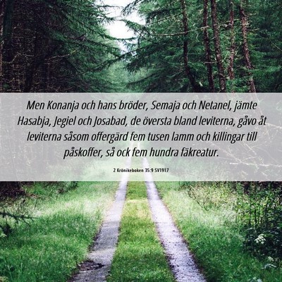 Picture 06 - 2 Krönikeboken 35:9 SV1917 - Men Konanja och hans bröder, Semaja och Netanel, - Bible Verse Picture