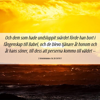 Picture 06 - 2 Krönikeboken 36:20 SV1917 - Och dem som hade undsluppit svärdet förde han - Bible Verse Picture