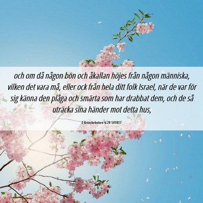 Picture 06 - 2 Krönikeboken 6:29 SV1917 - och om då någon bön och åkallan höjes från - Bible Verse Picture