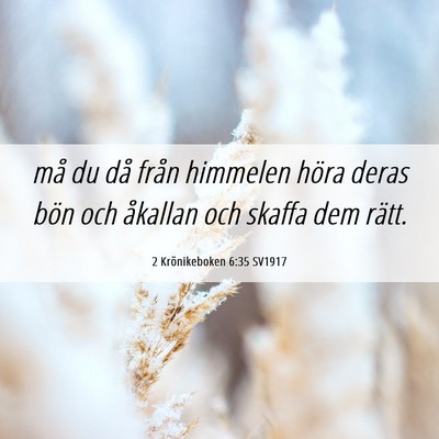 Picture 06 - 2 Krönikeboken 6:35 SV1917 - må du då från himmelen höra deras bön och - Bible Verse Picture