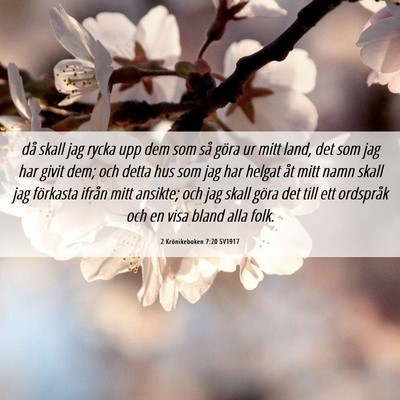 Picture 06 - 2 Krönikeboken 7:20 SV1917 - då skall jag rycka upp dem som så göra ur mitt - Bible Verse Picture