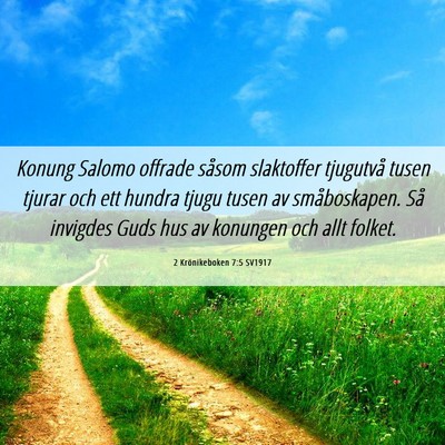 Picture 06 - 2 Krönikeboken 7:5 SV1917 - Konung Salomo offrade såsom slaktoffer tjugutvå - Bible Verse Picture