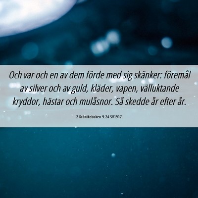 Picture 06 - 2 Krönikeboken 9:24 SV1917 - Och var och en av dem förde med sig skänker: - Bible Verse Picture