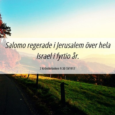 Picture 06 - 2 Krönikeboken 9:30 SV1917 - Salomo regerade i Jerusalem över hela Israel i - Bible Verse Picture