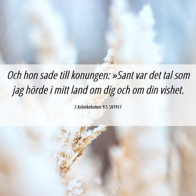 Picture 06 - 2 Krönikeboken 9:5 SV1917 - Och hon sade till konungen: »Sant var det tal - Bible Verse Picture