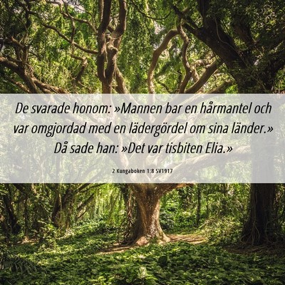Picture 06 - 2 Kungaboken 1:8 SV1917 - De svarade honom: »Mannen bar en hårmantel och - Bible Verse Picture