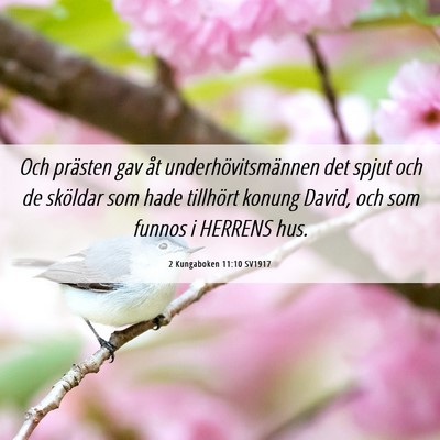 Picture 06 - 2 Kungaboken 11:10 SV1917 - Och prästen gav åt underhövitsmännen det - Bible Verse Picture